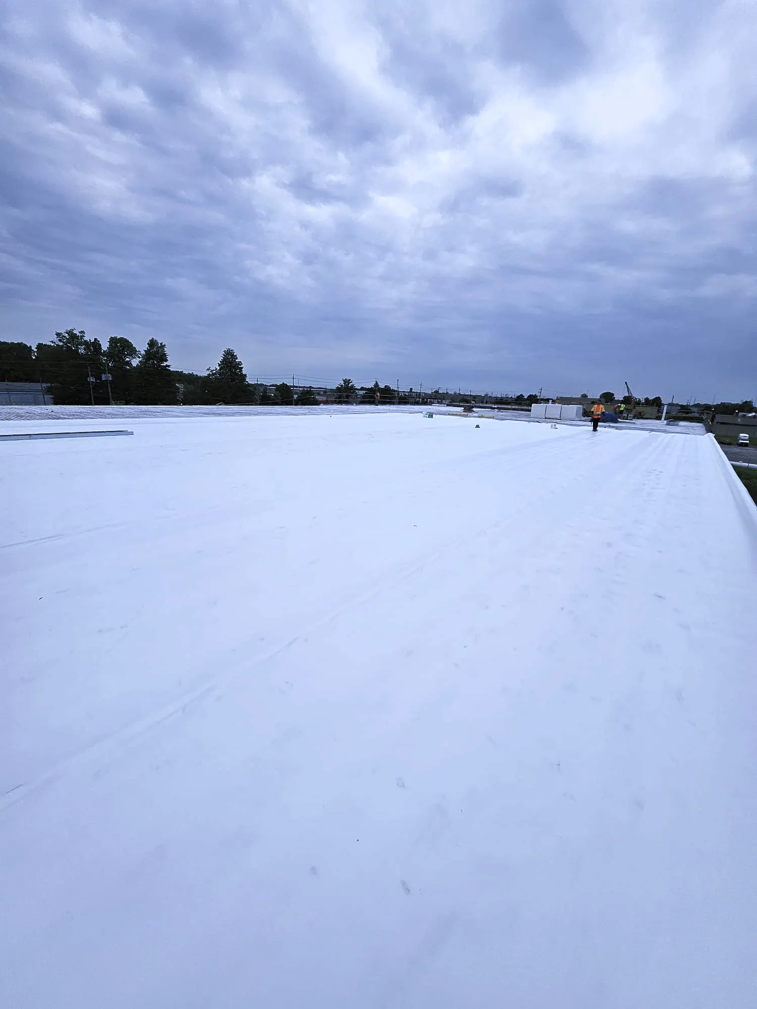 TPO single-ply membrane